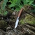 Canivete Opinel Nº 09 Aço Inox - Walnut Wood / Nogueira na internet