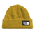 Gorro The North Face Salty Dog Beanie Unissex - Amarelo Ochre