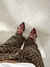 Zapatos Ganni cherry Cuero 100% - comprar online