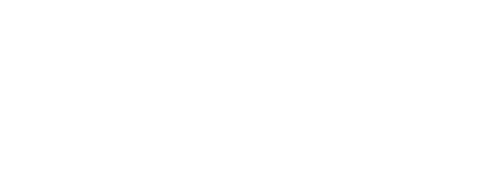 Veronica Store