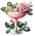 Kit com 10 decalques diversos - Coleção ROSAS CÁLIDAS