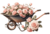 Kit com 5 decalques diversos - Coleção ROSAS CÁLIDAS - Canto que Encanta Tecidos
