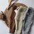 Pantalón tejido Austral