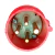 Ficha Industrial Macho 16a 3p+t Steck N4076 en internet