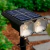 Estaca Solar LED LION 5W / 10W en internet