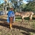 Bota Campeira Solado Pneu - Amarela - loja online
