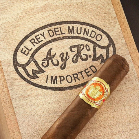 El rey del mundo