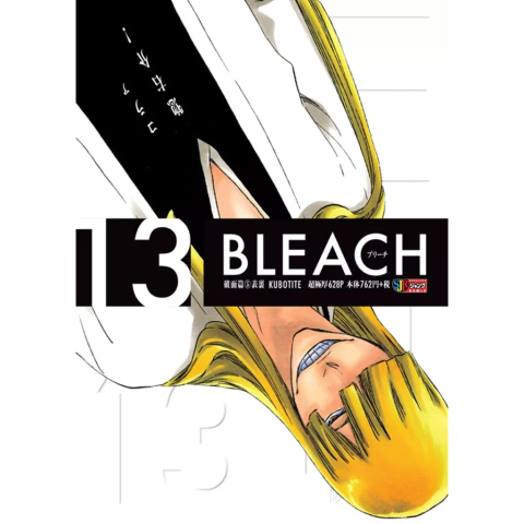 Bleach Remix 13