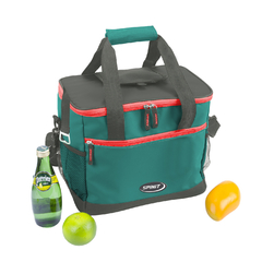 BOLSO TERMICO CONSERVADORA SPINIT TECNO COOLER 15LTS - comprar online
