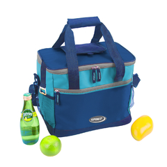 BOLSO TERMICO CONSERVADORA SPINIT TECNO COOLER 15LTS en internet