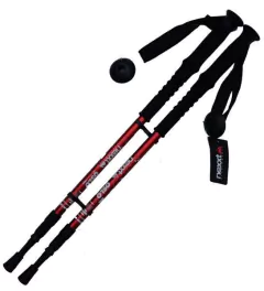 BASTON DE TREKKING NEXXT (PAR)