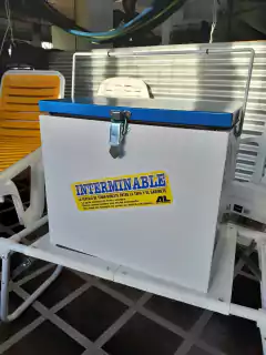 CONSERVADORA DE CHAPA INTERMINABLE 31 LTS - comprar online