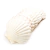 Concha Shell branca Unidade - comprar online