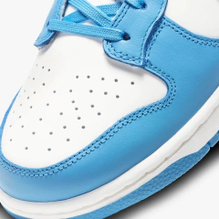 Nike dunk low ''Coast''