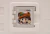 JOGO 3DS - SUPER MARIO 3D LAND (3) - Gamefic Jogos - Loja de vídeos games novos e retrô.