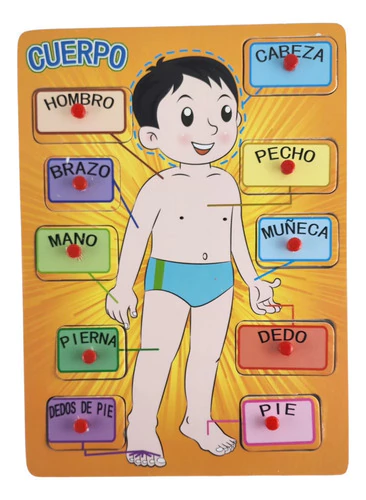 Juego Didactico Puzzle Encastre Cuerpo Humano Madera