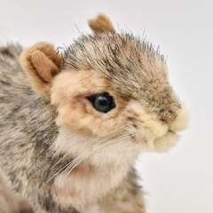 Ardilla realista de 8 Pulgadas Peluche de ardilla sentada, gris en internet