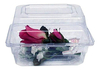 Caja Transparente Para Guardar Arreglos Florales