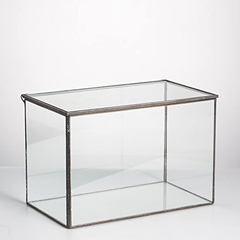 Caja Rectangular De Cristal Transparente Para Terrario - tienda online