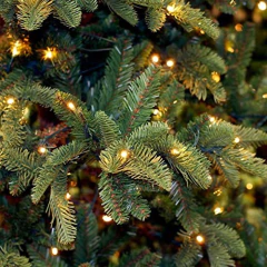 Juego De Luces De Navidad (100 Unidades), Color Verde - Danielle's Store