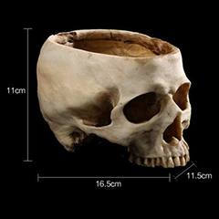 Maceta De Resina Artificial Diseño De Calavera Humana