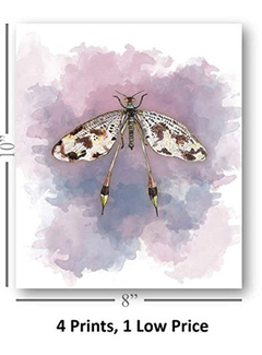 Dragonflies Art Hermosas Decoración Del Hogar - comprar online