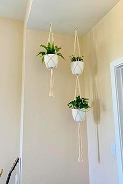 Colgador De Plantas Para Interior Y Exterior, Cesta Algodón - Danielle's Store