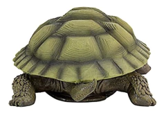 Estatua Gilbert La Tortuga Terrapene, Sencillo, Multicolor - Danielle's Store
