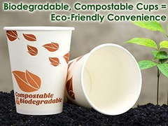 Tazas De Café De Papel Biodegradable Y Compostable De 12 Oz. en internet