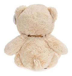 Wildream Mi Primer Osito Teddy - Danielle's Store