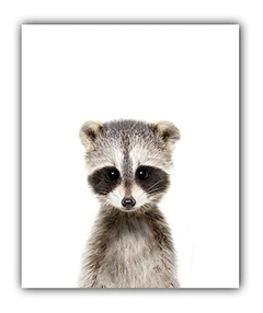 Decorativos Para Habitación Infantil (8 X 10) - comprar online