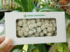 Nava Chiangmai - Hermosa Flor De Papel De Morera Artificial en internet