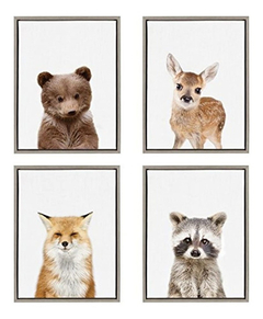 Imagen de Kate And Laurel Sylvie Raccoon - Lienzo Enmarcado Para Pared