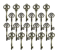 Set De 20 Llaves Maestras en internet