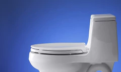 Asiento De Inodoro Alargado Blanco - Danielle's Store
