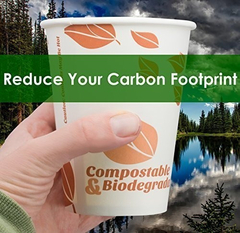 Tazas De Café De Papel Biodegradable Y Compostable De 12 Oz. - Danielle's Store