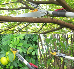 Mesoga - Poda Extensible Para Árbol De 6 A 10 Pies - tienda online