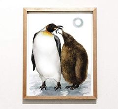 Cartel Decorativo De Pared Sin Marco De Pinguinos