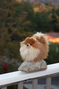 Peluche De Perro Pomerania De 9'' En Felpa - comprar online