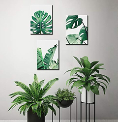 Lienzo Decorativo Para Pared Diseño De Plantas Tropicales en internet