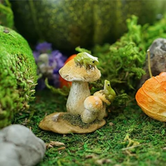Parte Superior Colección Miniatura Jardín De Hadas Y Terrari - comprar online