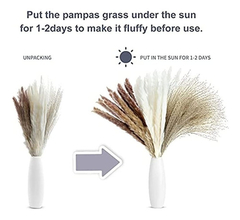 Plantas Artificiales De Pampas Secas, 60 Piezas De Hierba - Danielle's Store