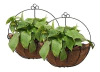 Tosnail - Canastilla Colgante Para Pared, De Metal