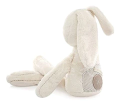 Primer Juguete De Compañía Para Niños - Danielle's Store
