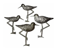 Aves Costeras De Arenero, Pájaros Ornamentales, Arte Decorat