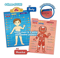 Sistema De Juguete Interactivo Educativo De Anatomía Humana - tienda online