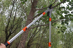 Tijeras De Poda Para Árboles Con Cuchillas De Acero