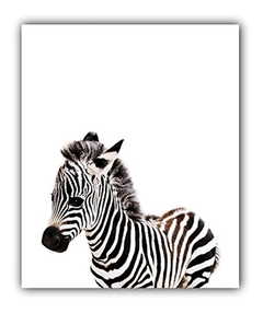 Imagen de Decorativos Para Habitación Infantil (8 X 10)