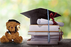 Imagen de Kinrex - Oso De Peluche Con Diseño Graduación, Marrón