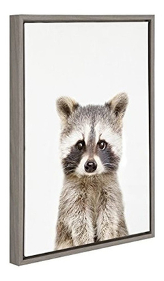 Kate And Laurel Sylvie Raccoon - Lienzo Enmarcado Para Pared - comprar online